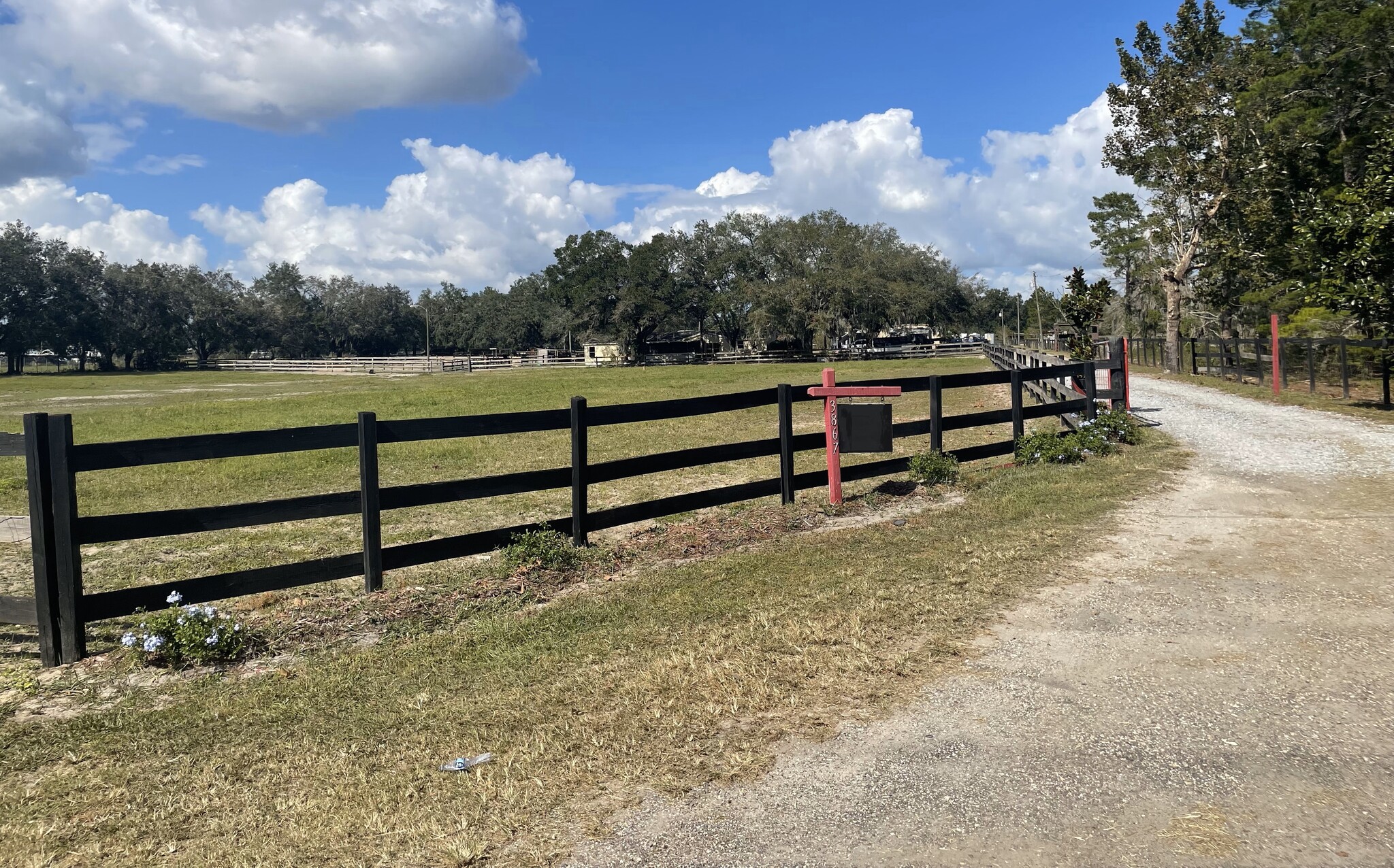 3903 Ondich Rd, Apopka, FL for sale Primary Photo- Image 1 of 8