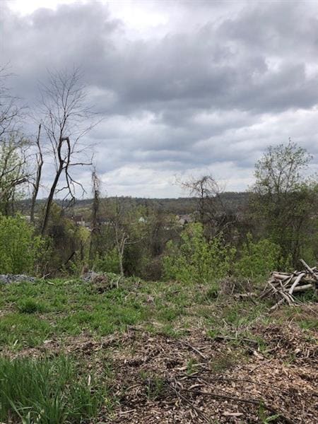 110 Ridge Rd, South Park, PA for sale Building Photo- Image 1 of 8