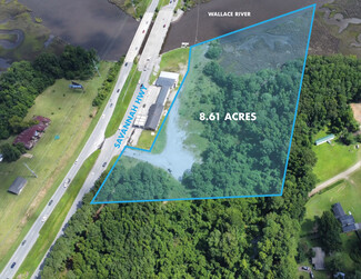 More details for 0 Savannah Hwy, Adams Run, SC - Land for Sale