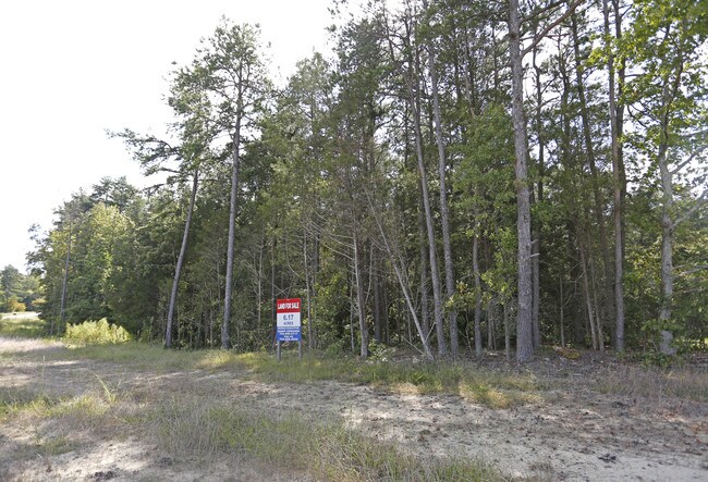 More details for 11725 Mt Holly-Huntersville Rd, Huntersville, NC - Land for Lease