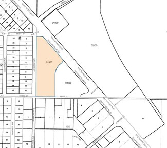 Plus de détails pour 441 E Myers Blvd, Mascotte, FL - Terrain à vendre