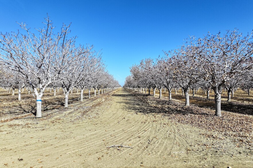 33571 Adams ave, Mendota, CA for sale - Building Photo - Image 2 of 12