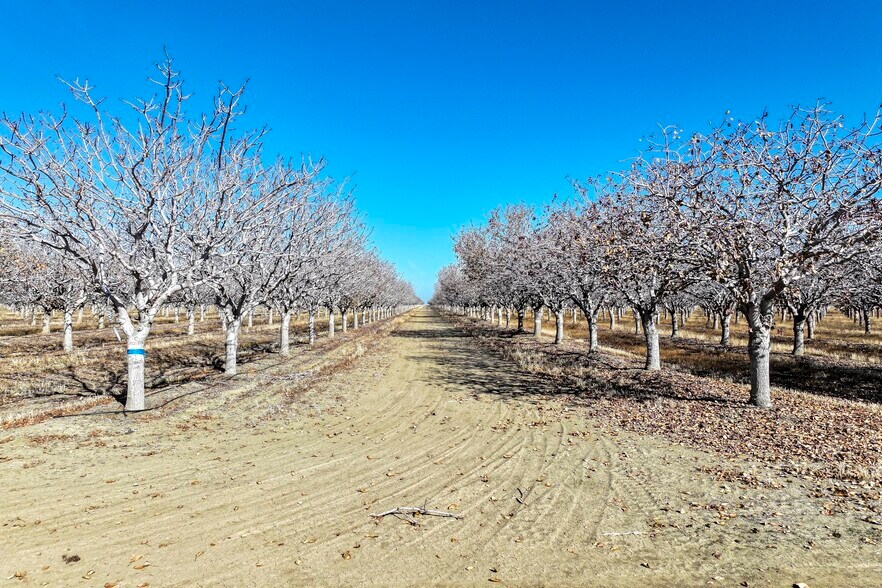 33571 Adams ave, Mendota, CA à vendre - Photo du bâtiment - Image 2 de 12