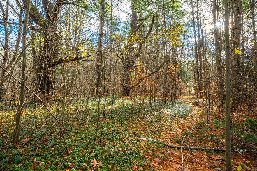 40 E Putney Brook Rd, Putney, VT à vendre - Photo intérieure - Image 3 de 31