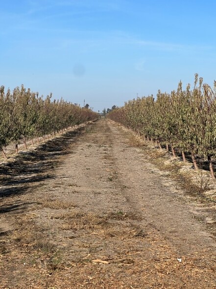 2359 Wainwright Rd, Stevinson, CA for sale - Primary Photo - Image 1 of 1