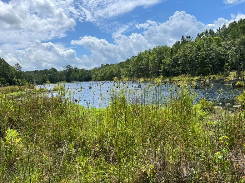 615 Sniders Hwy, Walterboro, SC à vendre - Photo du bâtiment - Image 2 de 14