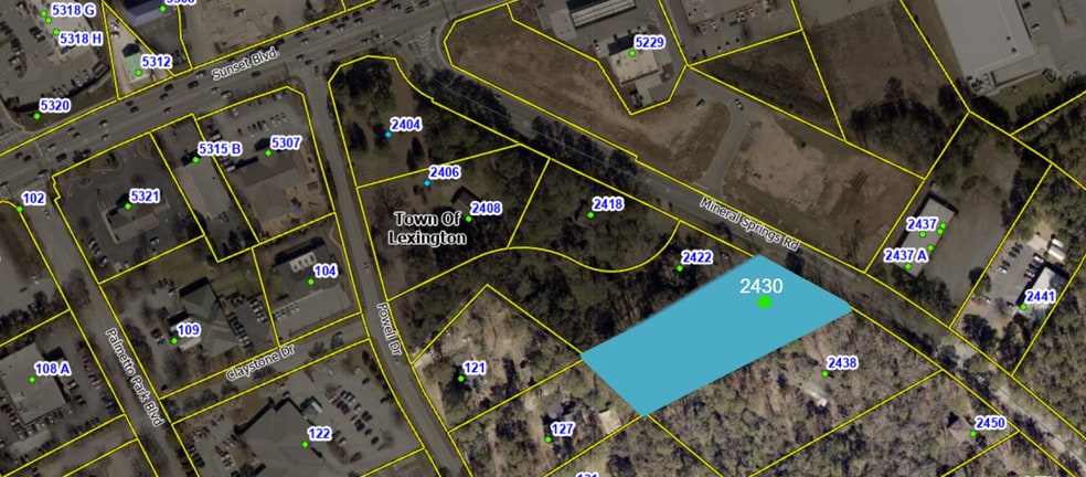 2430 Mineral Springs Rd, Lexington, SC à vendre - Photo du bâtiment - Image 3 de 5