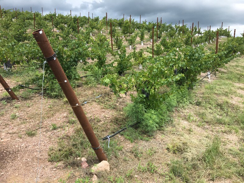 68 Harvest Dr, Sonoita, AZ à vendre - Photo intérieure - Image 3 de 4