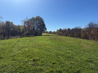 Plus de détails pour 575 Carol Ann Ln, Independence, KY - Terrain à vendre