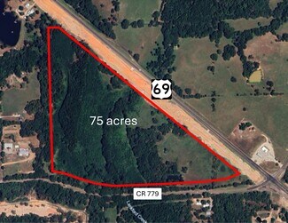 Plus de détails pour Hwy 69, Mineola, TX - Terrain à vendre