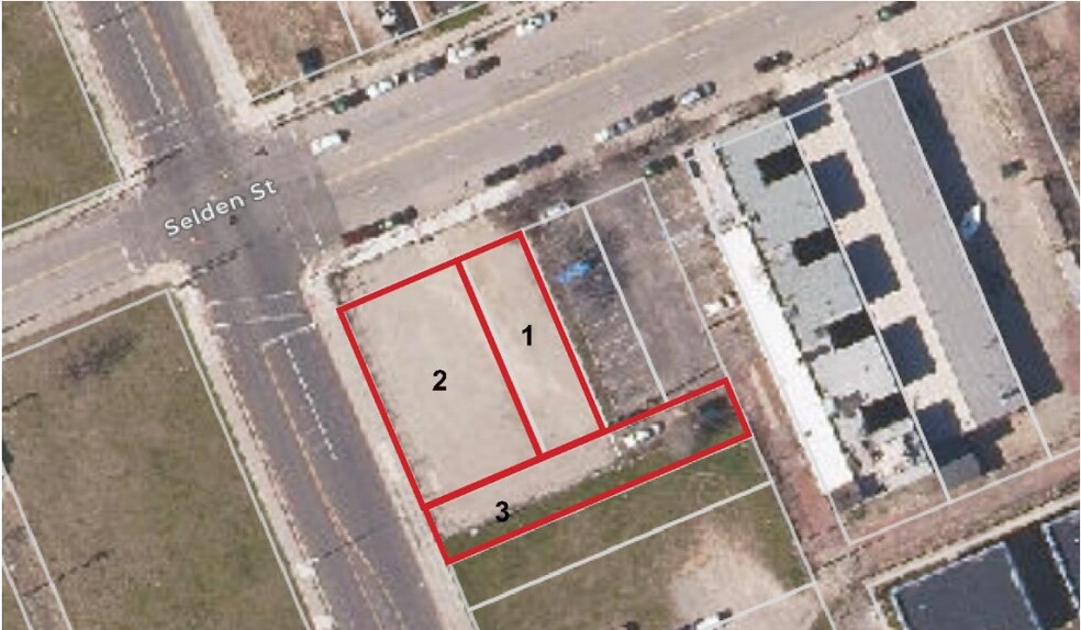 699 Selden st, Detroit, MI à louer - Photo du bâtiment - Image 2 de 2