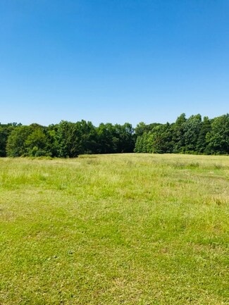 More details for 4612 Highway 101, Woodruff, SC - Land for Sale