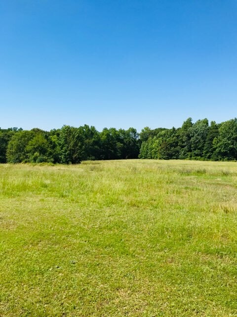 4612 Highway 101, Woodruff, SC for sale Other- Image 1 of 4