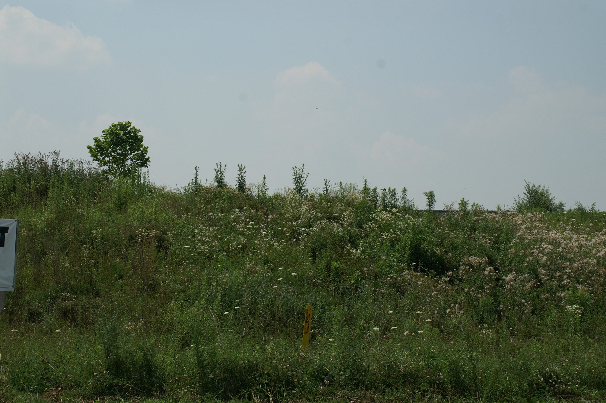 Pennant Dr, Pittsburgh, PA à vendre Photo principale- Image 1 de 7