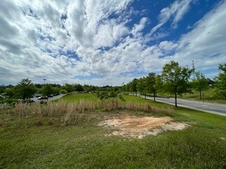 Plus de détails pour 0 Lagniappe way, Tallahassee, FL - Terrain à vendre