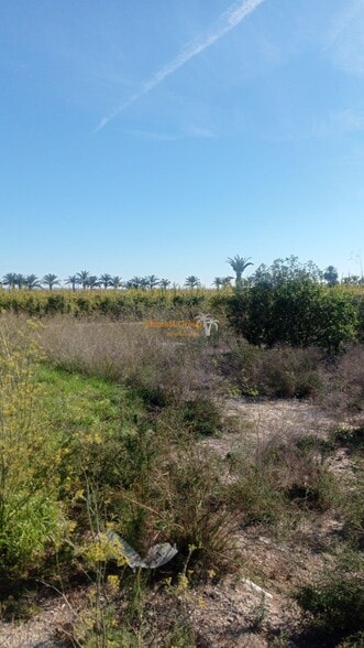 Terrain dans Elche, Alicante à vendre - Aérien - Image 1 de 4