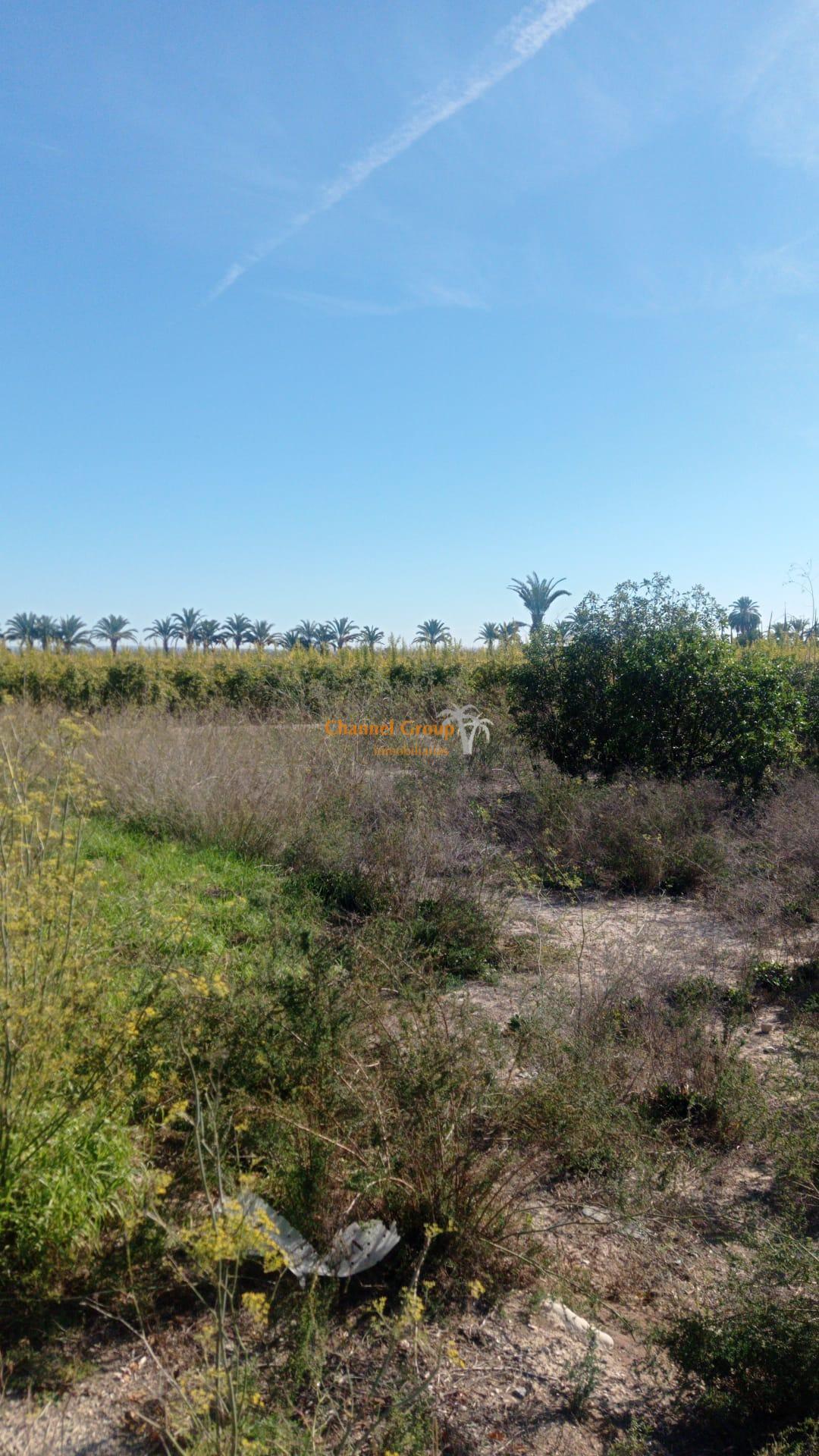 Terrain dans Elche, Alicante à vendre Aérien- Image 1 de 5