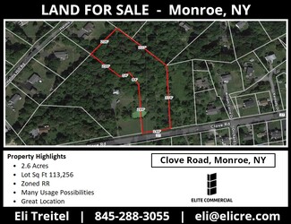 Plus de détails pour 460 Clove rd, Monroe, NY - Terrain à vendre