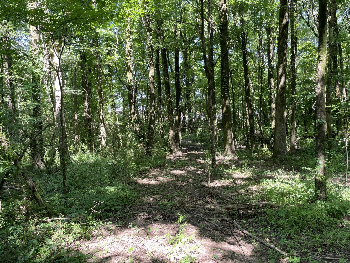 000 Arnold Road, Memphis, TN for sale Primary Photo- Image 1 of 1