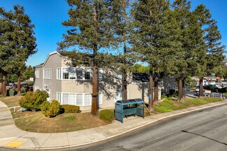 Plus de détails pour 10055 Miller Ave, Cupertino, CA - Bureau à louer