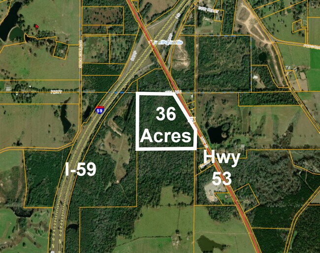 Plus de détails pour 0 Highway 53, Poplarville, MS - Terrain à vendre