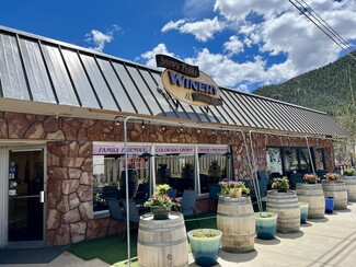 Plus de détails pour 292 Moraine ave, Estes Park, CO - Vente au détail à vendre