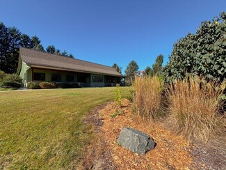 Plus de détails pour 50 S Fletcher Rd, Chelsea, MI - Bureau à louer