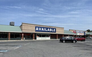 Plus de détails pour 402-408 N Fruitland Blvd, Salisbury, MD - Commerce de détail à louer