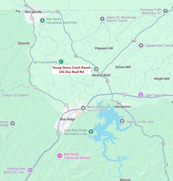 141 Doc Roof Rd, Mineral Bluff, GA à vendre - Photo du bâtiment - Image 3 de 12