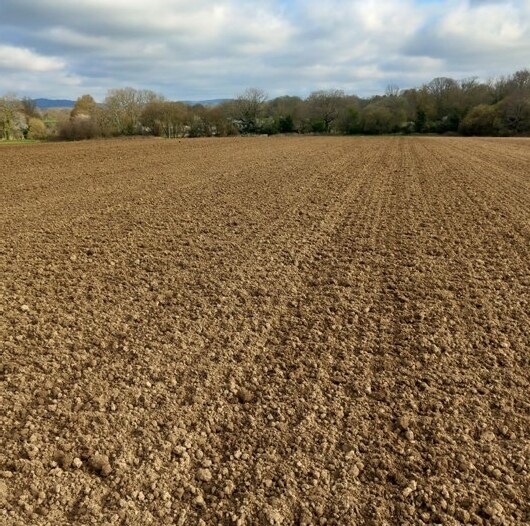 B2128, Rudgwick à vendre - Autre - Image 3 de 5