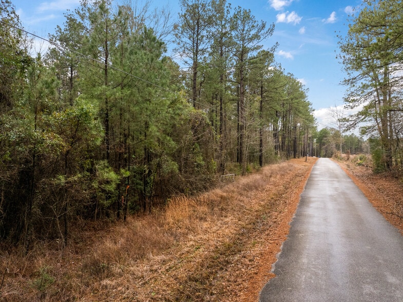 TBD 11 acres Tatoo Rd, Glenmora, LA for sale - Primary Photo - Image 1 of 17