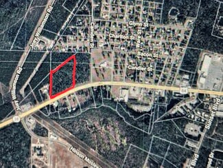More details for 86-34 INC U. S. Highway 84, Jesup, GA - Land for Sale