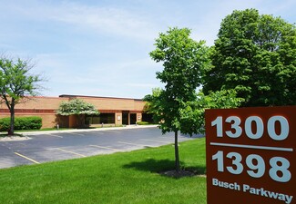 Plus de détails pour 1300-1398 Busch Pky, Buffalo Grove, IL - Flex, Industriel à louer