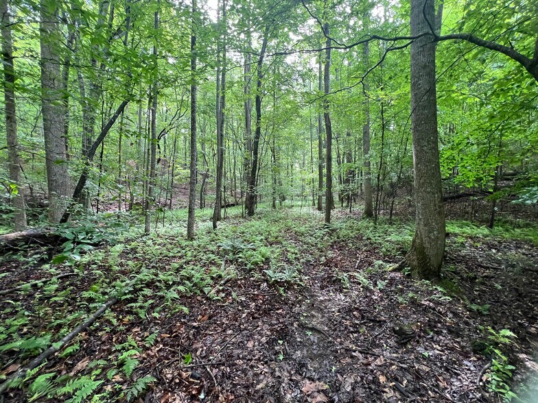 395 Able rd, Waleska, GA à vendre - Photo du bâtiment - Image 3 de 43