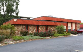 More details for 85 Market St, Elgin, IL - Office for Sale