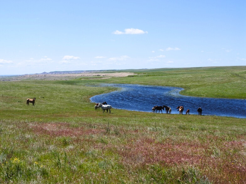 24900 Spring Draw Rd, Scenic, SD for sale - Primary Photo - Image 1 of 57