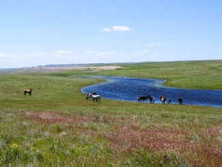 More details for 24900 Spring Draw Rd, Scenic, SD - Land for Sale