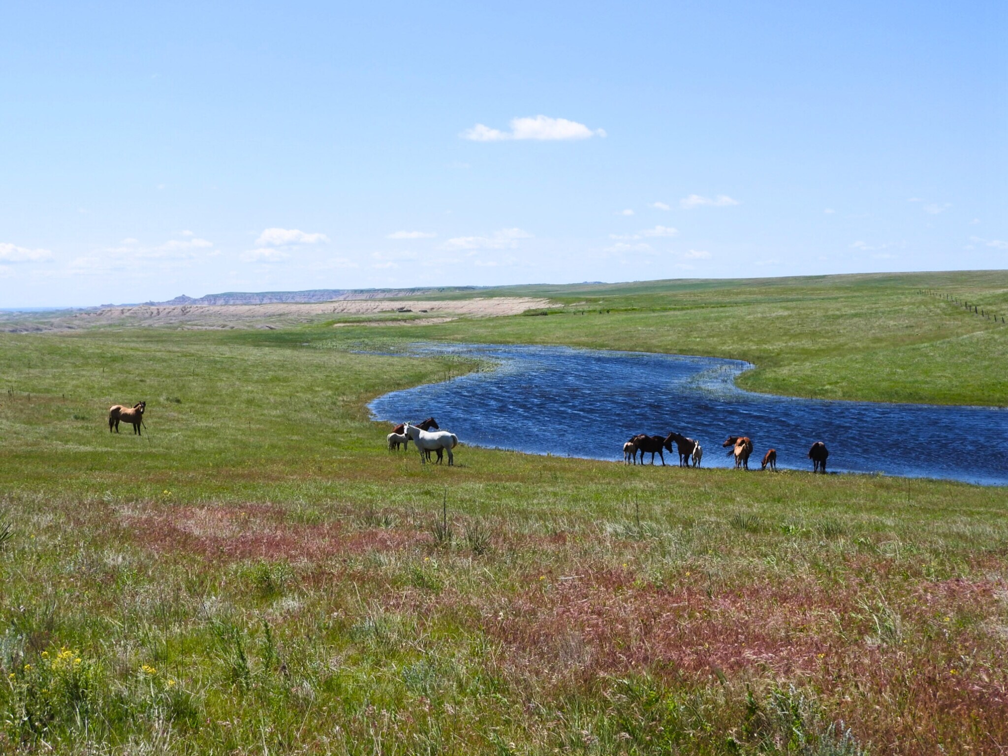 24900 Spring Draw Rd, Scenic, SD à vendre Photo principale- Image 1 de 58