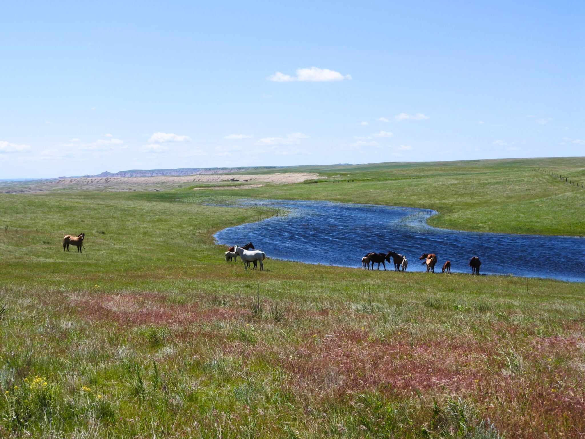 24900 Spring Draw Rd, Scenic, SD for sale Primary Photo- Image 1 of 58