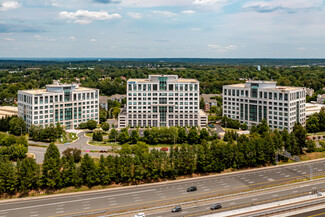 Plus de détails pour 12950 Worldgate Dr, Herndon, VA - Bureau à louer