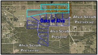 Plus de détails pour Goggin Rd, Alva, FL - Terrain à vendre