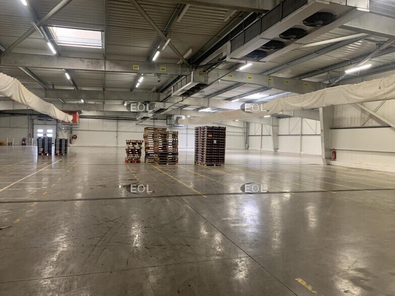 Industrial in Châteaurenard for lease - Building Photo - Image 2 of 5