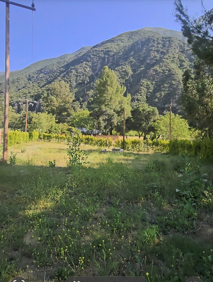 20,000sq/ft Land for Lease w/water & electricity, Tujunga, CA à louer Photo du bâtiment- Image 1 de 5