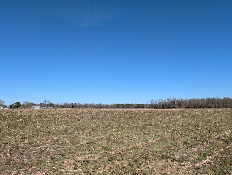 000 Cedar Fork Road, Beulaville, NC à vendre - Photo du bâtiment - Image 3 de 6