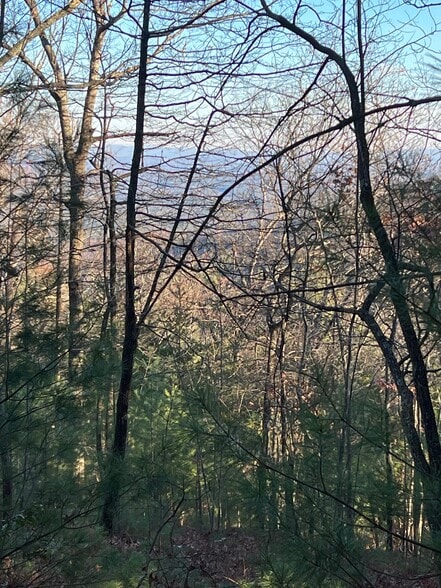 13368 Chatsworth Hwy, Ellijay, GA à vendre - Photo principale - Image 1 de 1