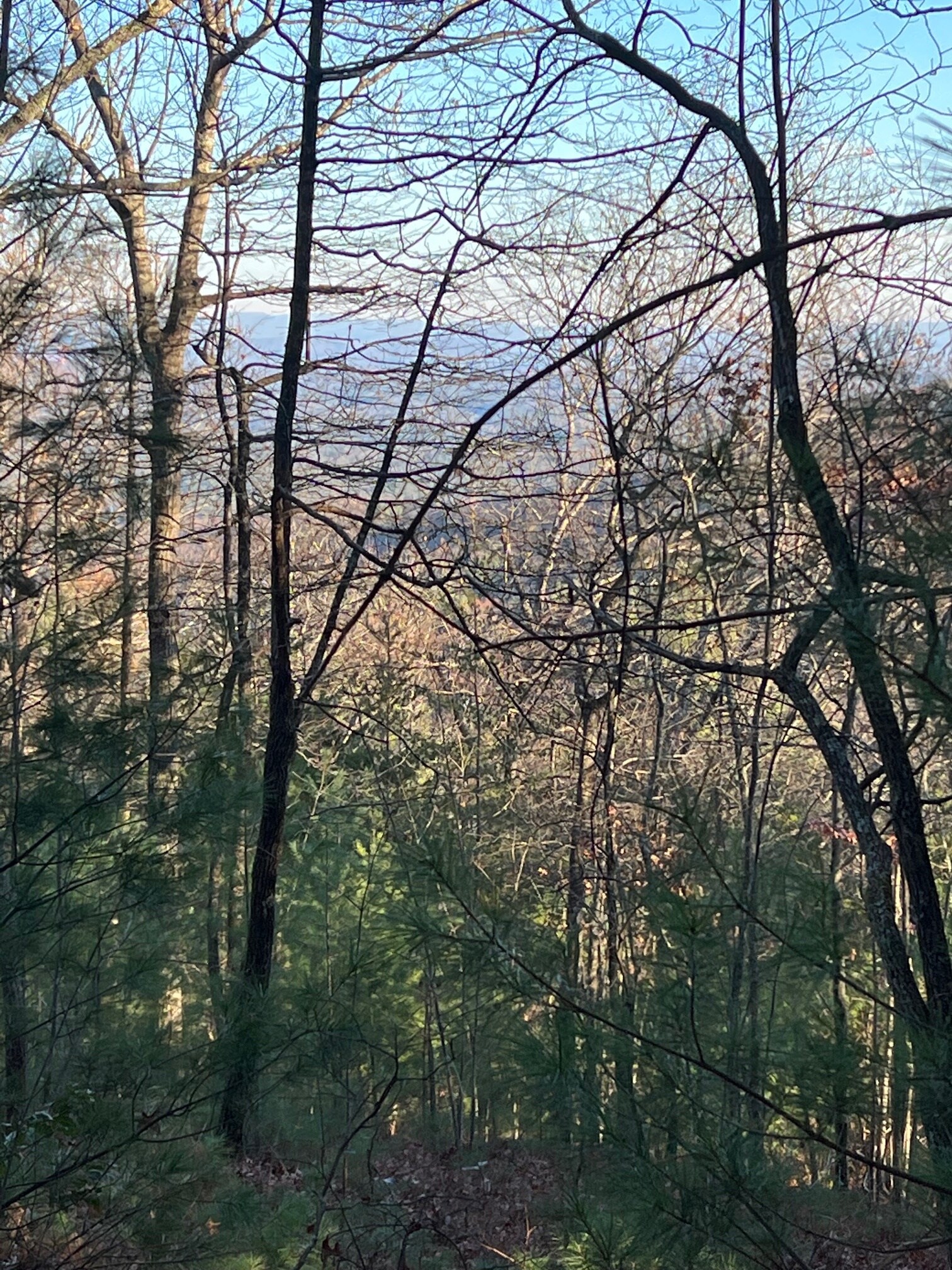 13368 Chatsworth Hwy, Ellijay, GA à vendre Photo principale- Image 1 de 2