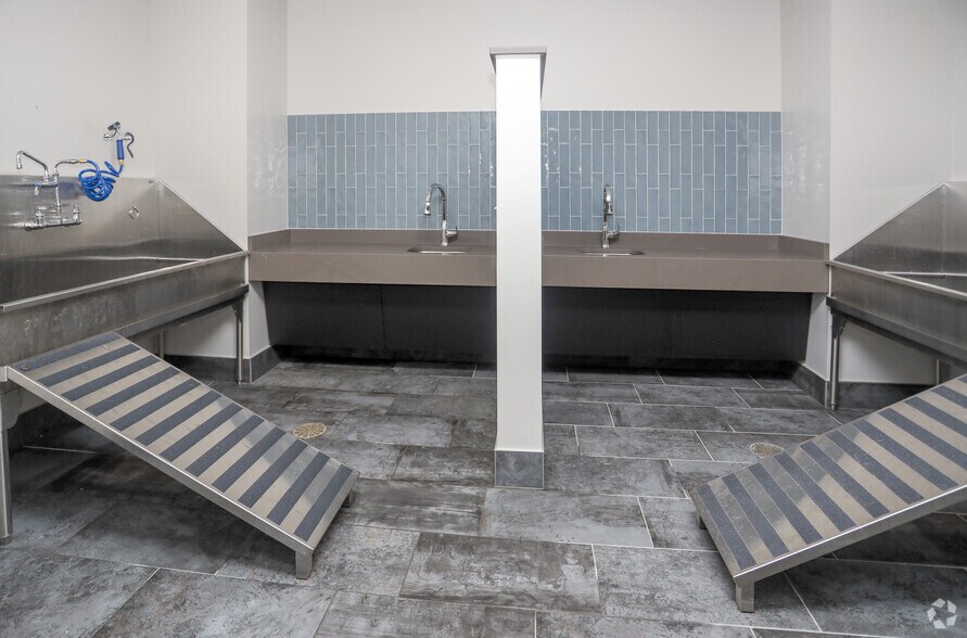 11671 Maple St, Fishers, IN à louer - Photo intérieure - Image 2 de 66