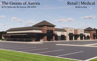 More details for 60 N Chillicothe Rd, Aurora, OH - Retail for Lease