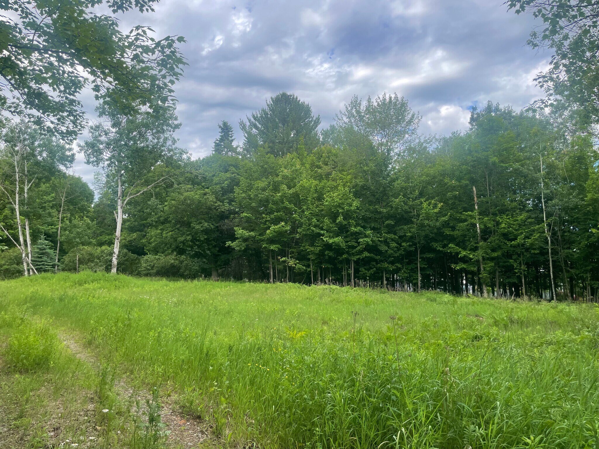 1507 Fair ave, Marquette, MI à vendre Autre- Image 1 de 18