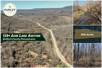 Plus de détails pour 1253 Black Hollow Rd, Schellsburg, PA - Terrain à vendre